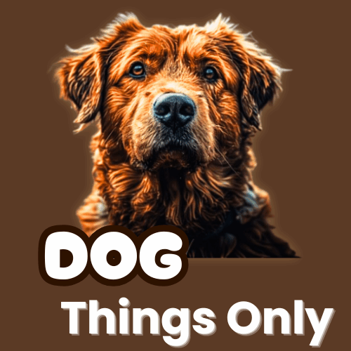 dog things only