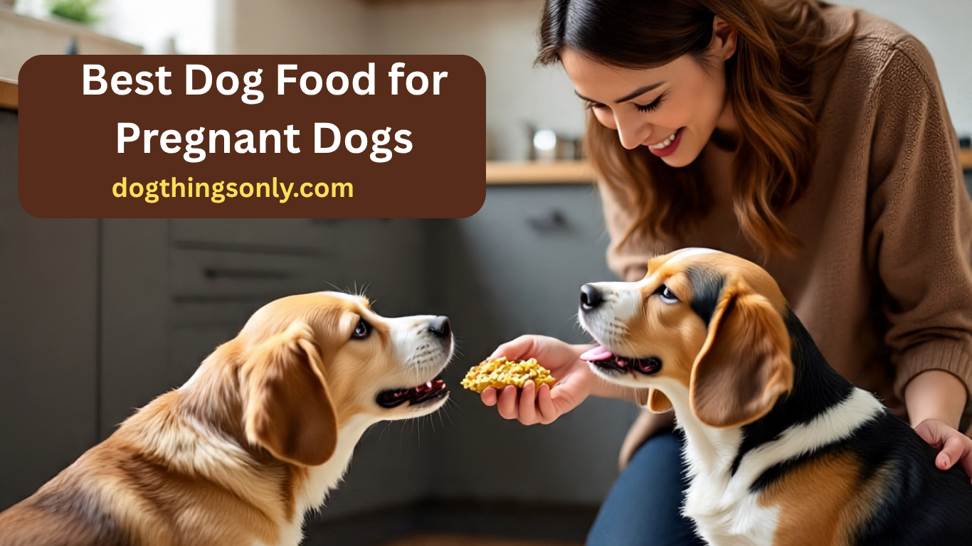 Picture of Best Dog Food for Pregnant Dogs: Top Nutrition Picks for Healthy Moms ...