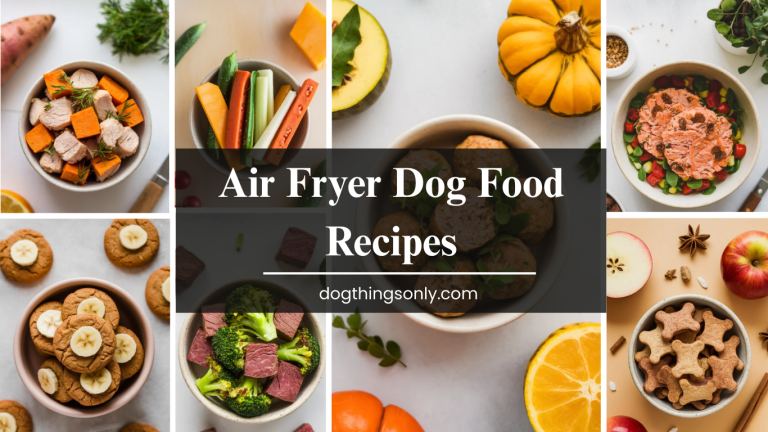 Air Fryer Dog Food Recipes