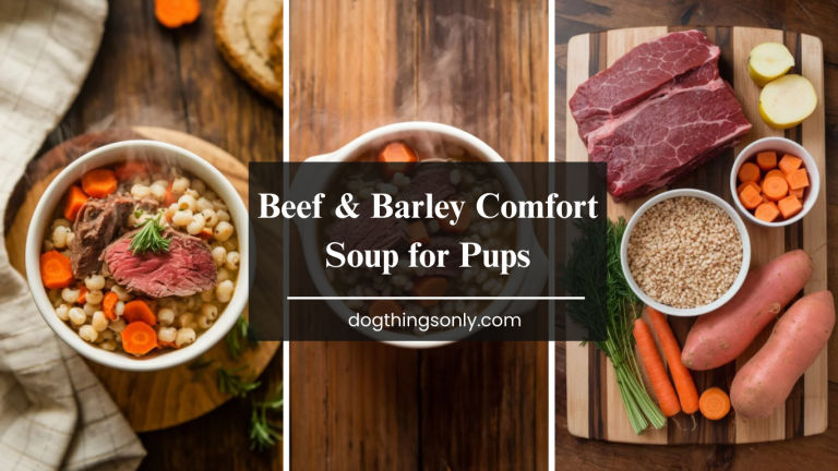 Beef & Barley Comfort Soup for Pups
