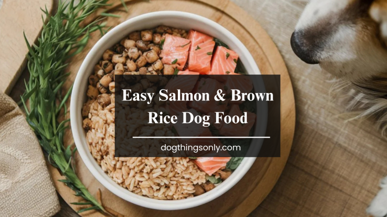 Easy Salmon & Brown Rice Dog Food